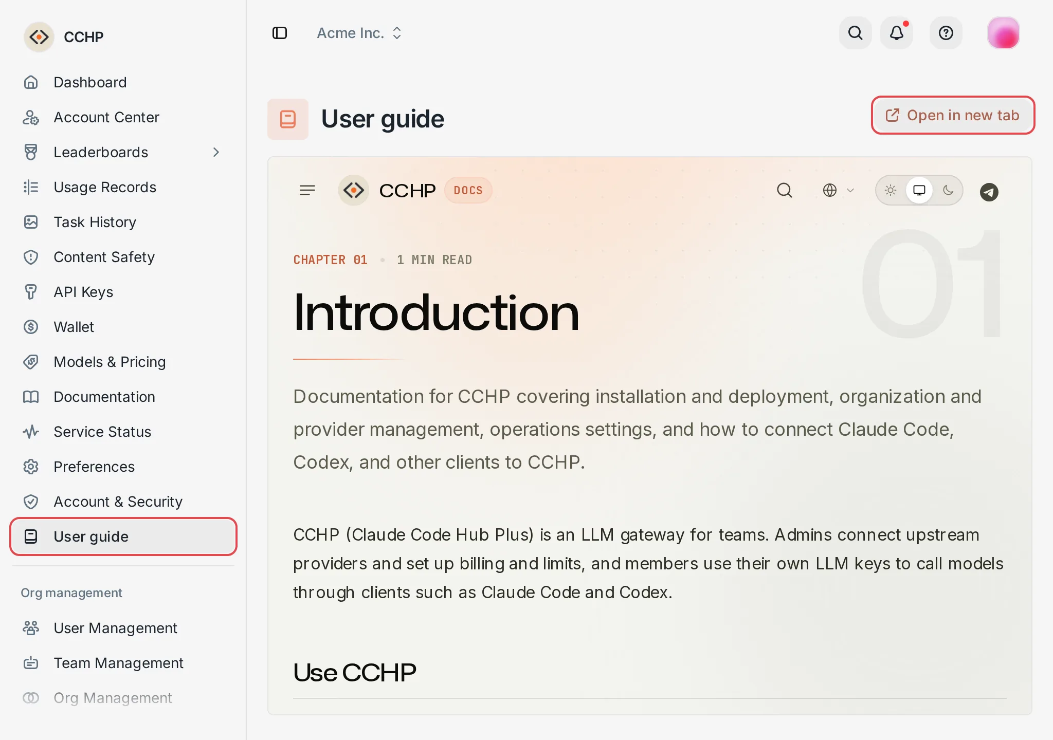 An embedded page opened in the console