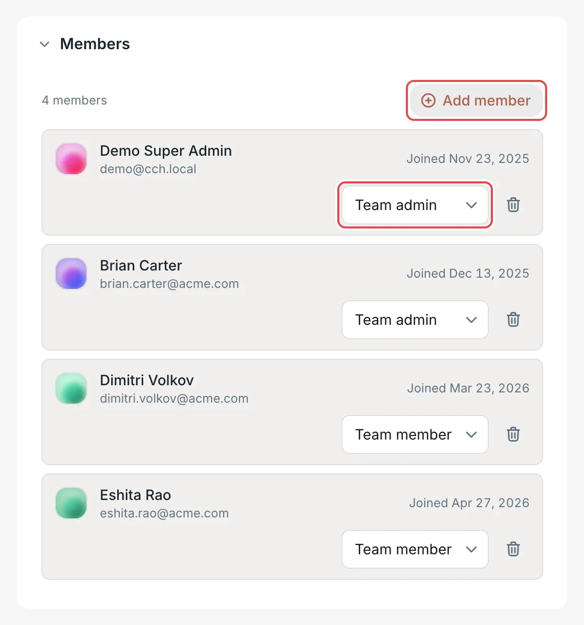 Team details: the Members section